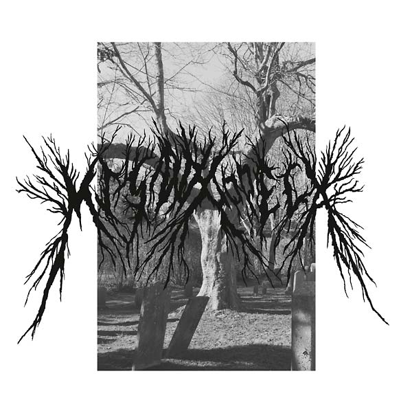 Deathbridge Vinyl Record