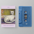 Nothing's About to Happen to Me (Blue Cassette) |