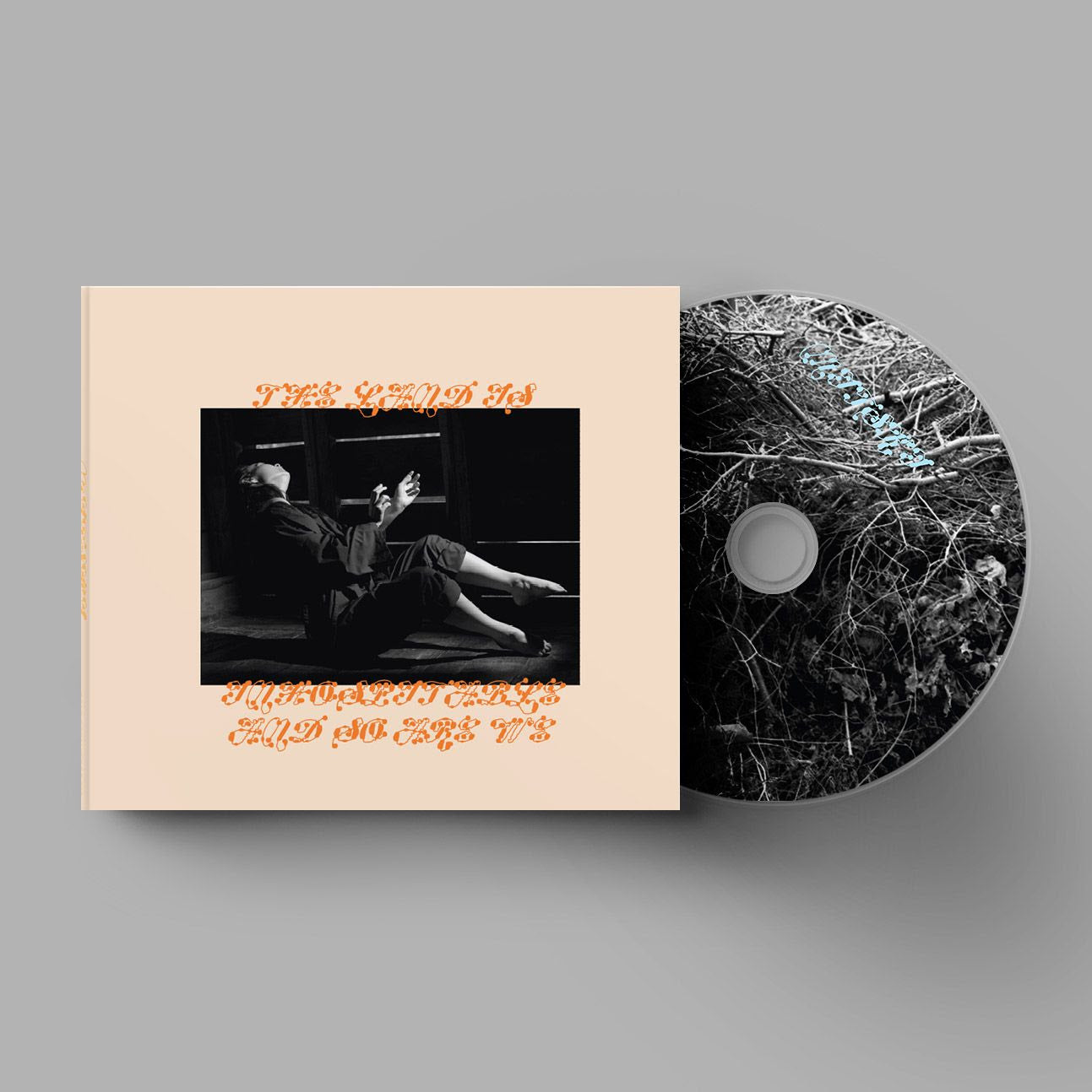The Land Is Inhospitable and So Are We Music CD