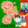 Snaxxx Vinyl Record