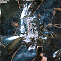 Dogsbody [Lp] |