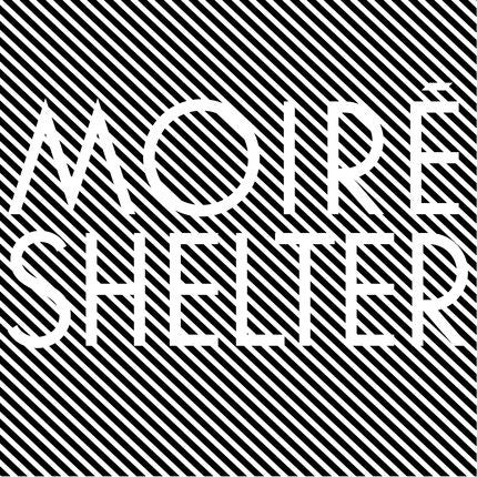 Shelter | Mint (M) Mint (M)