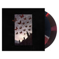 Moneen - Are We Really Happy With Who We Are Right Now? [Black/Grey/Red Merge] [2LP] Vinyl Record