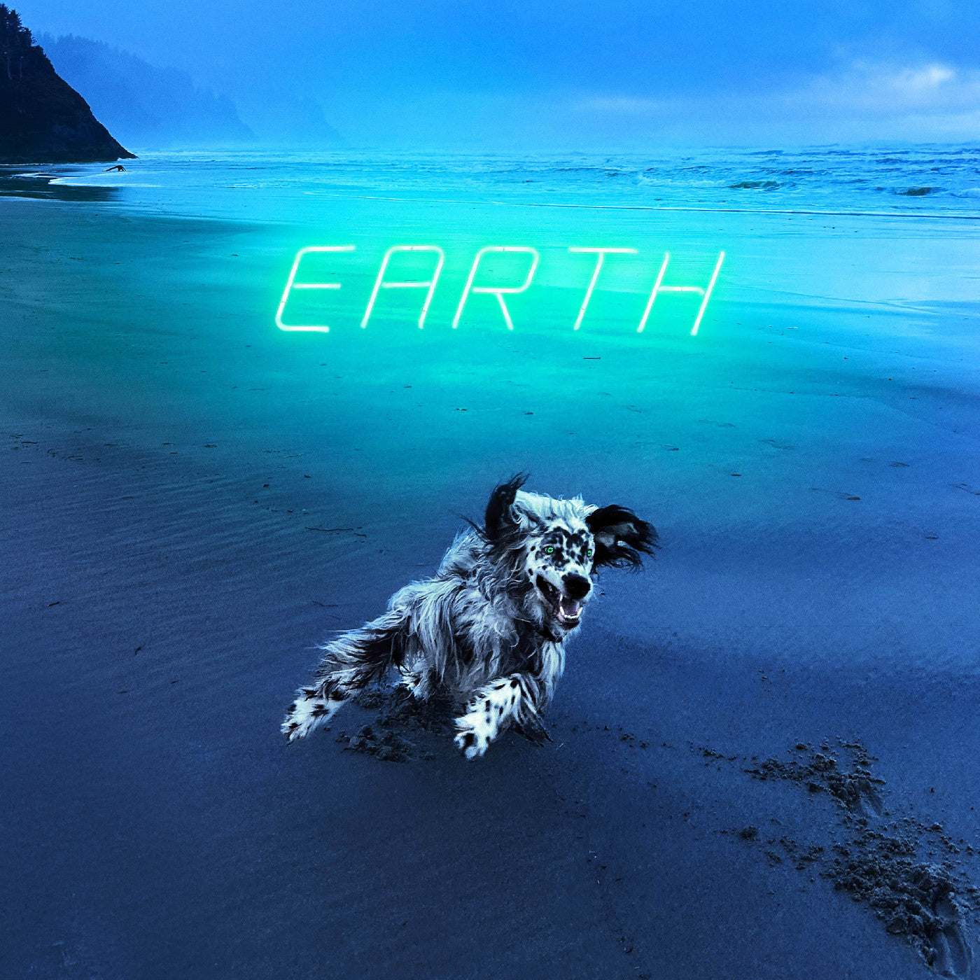Earth Music CD