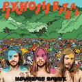 Psychosis Ritual Music CD