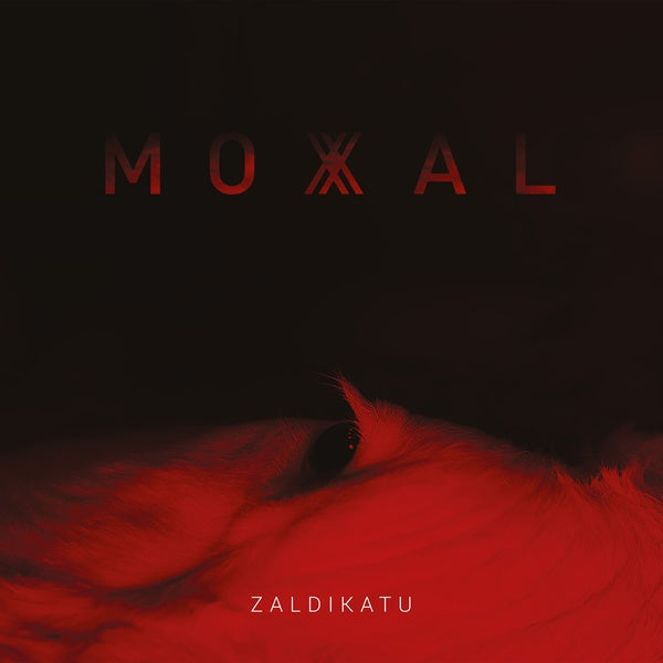 Zaldikatu Vinyl Record