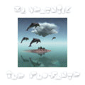 Ile Flottante Vinyl Record