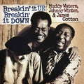 Muddy Waters - Breakin' It Up Breakin' It Down (180G Audiophile) [Translucent Gold] [2LP] Vinyl Record