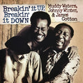 Breakin' It Up Breakin' It Down (180 Gram Clear Gold Audiophile Vinyl/Gatefold Vinyl Record