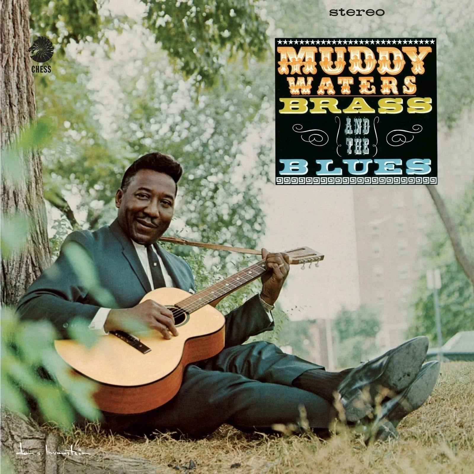 Muddy Waters - Muddy, Brass And The Blues (Chess Acoustic Sounds Series) [180G LP] Vinyl Record