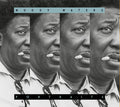 Portraits: Muddy Waters Music CD