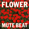 Flower Vinyl Record