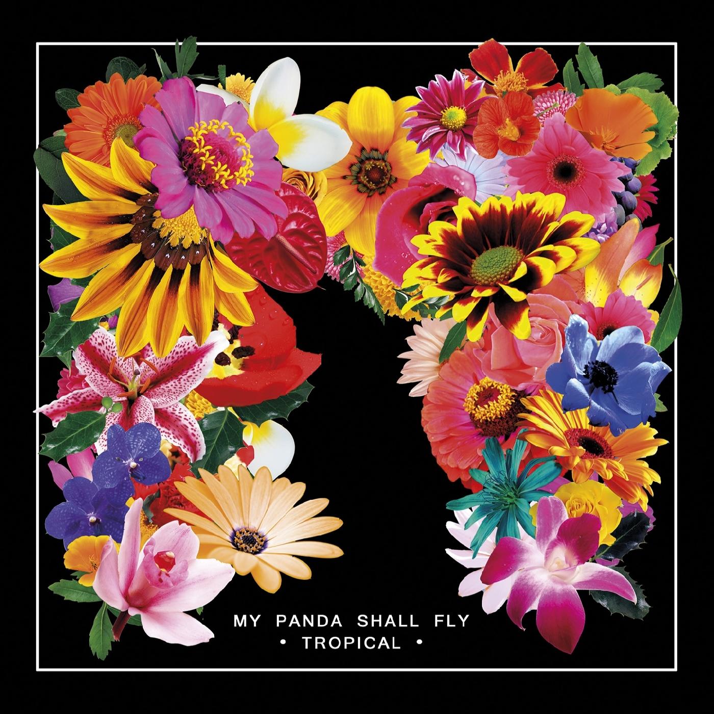 Tropical Vinyl Record