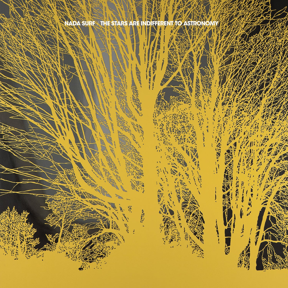 The Stars Are Indifferent To Astronomy Music CD
