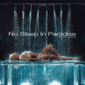 Naomi Sharon - No Sleep In Paradise (Limted Edition Poster) [Ultra Clear] [2LP] Vinyl Record