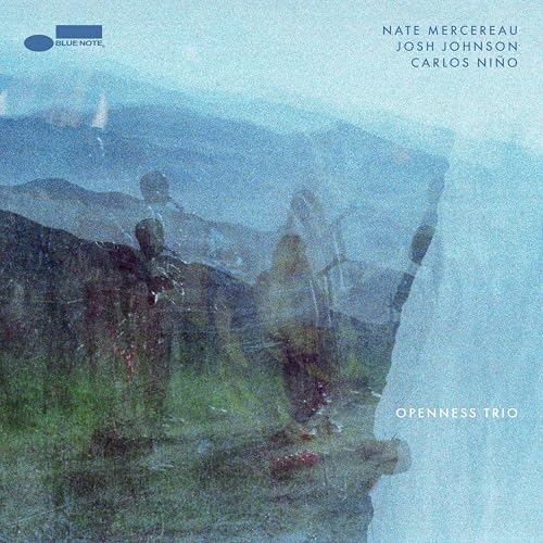 Openness Trio [180G Lp] Vinyl Record