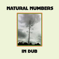 Natural Numbers in Dub Vinyl Record