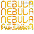 BBC/Peel Sessions Music CD