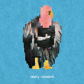 Condors Music CD