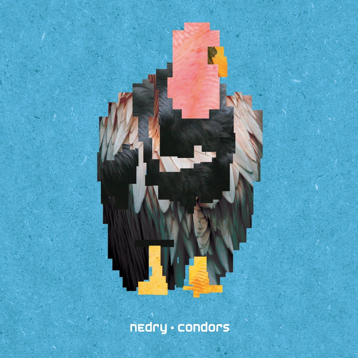 Condors Music CD