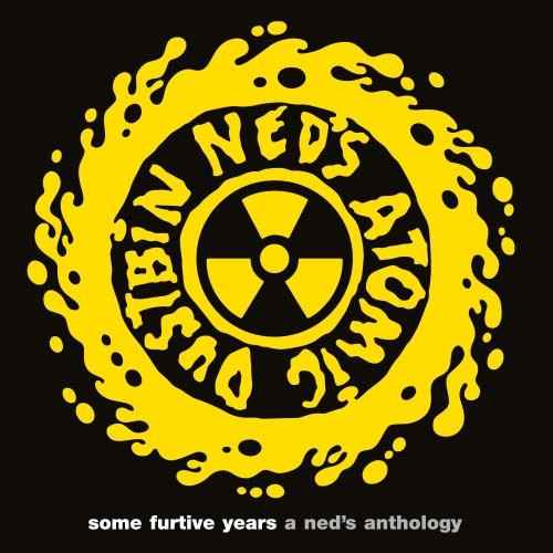 Ned'S Atomic Dustbin - Some Furtive Years: A Ned'S Anthology (180G) [Yellow Flame Vinyl] [2LP] Vinyl Record