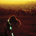 Era Extrana Music CD