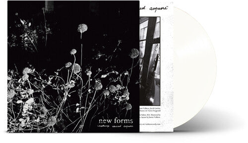 New Forms - Nothing'S Sacred Anymore [Clear Vinyl] Vinyl Record