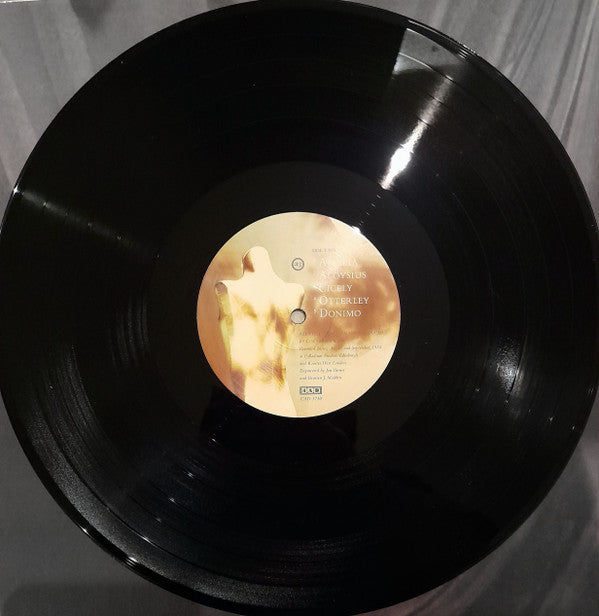 Cocteau Twins - Treasure | Mint (M) Mint (M)