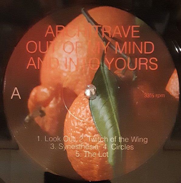 Out Of My Mind And Into Yours (VINYL) |