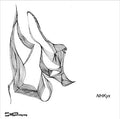 yx aka 1ch aka Solo Music CD