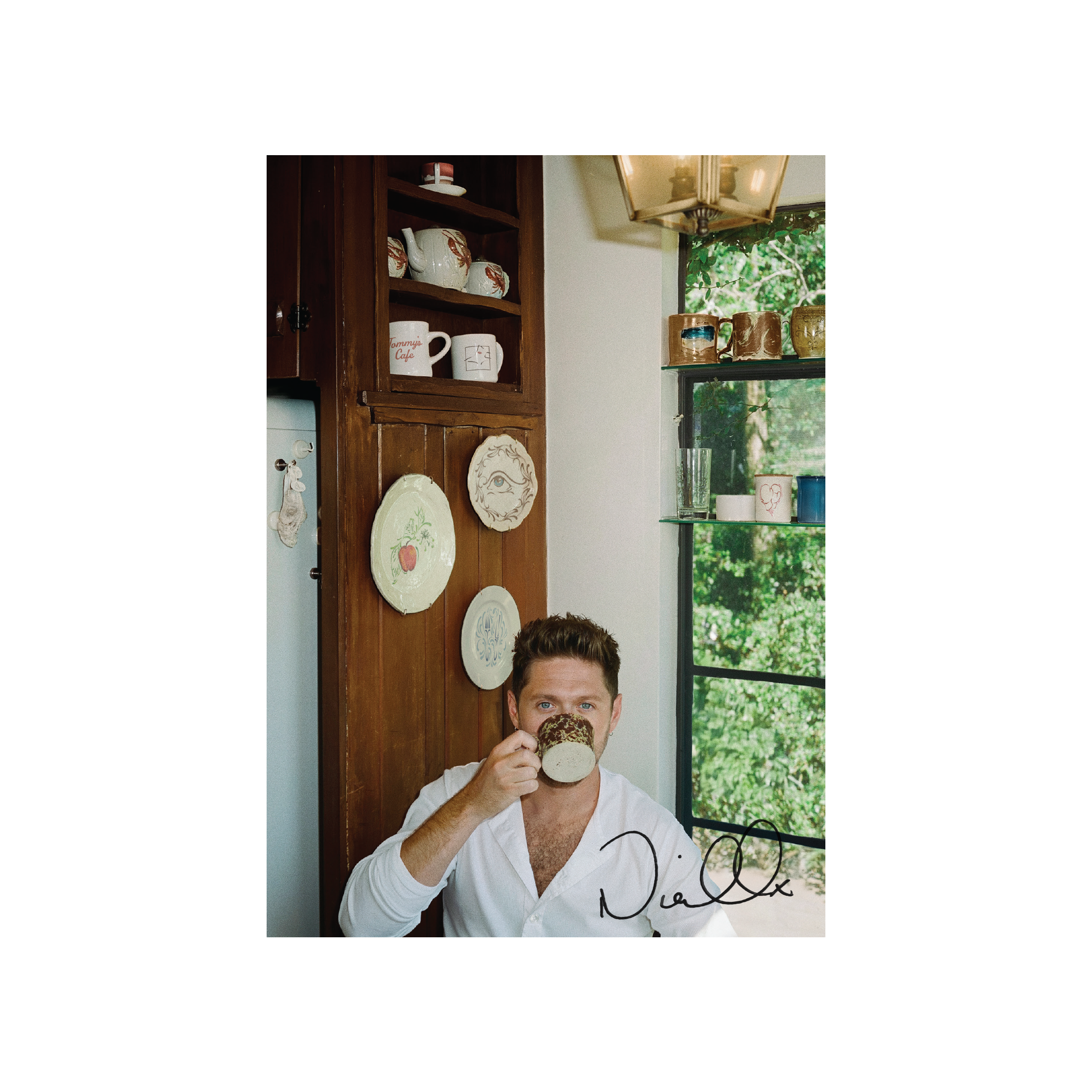 Niall Horan - (PRESALE 06/05/26) Dinner Party (SIGNED INSERT PORCELAIN VINYL) | Mint (M) Mint (M)