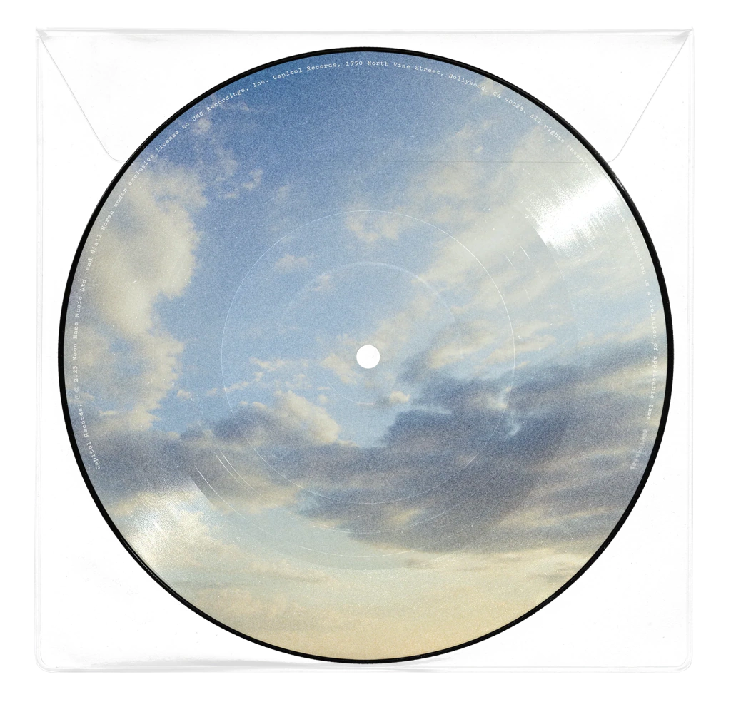 Meltdown (Picture Disc Vinyl) [Import] (7" Single) Vinyl Record