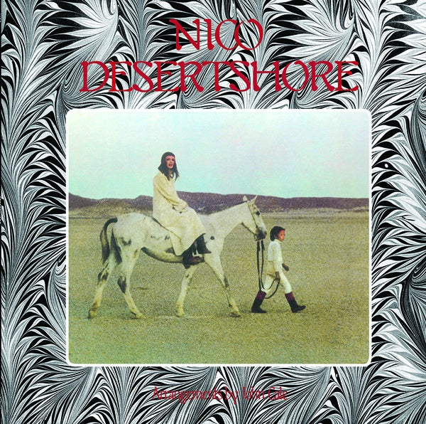 Desertshore Vinyl Record