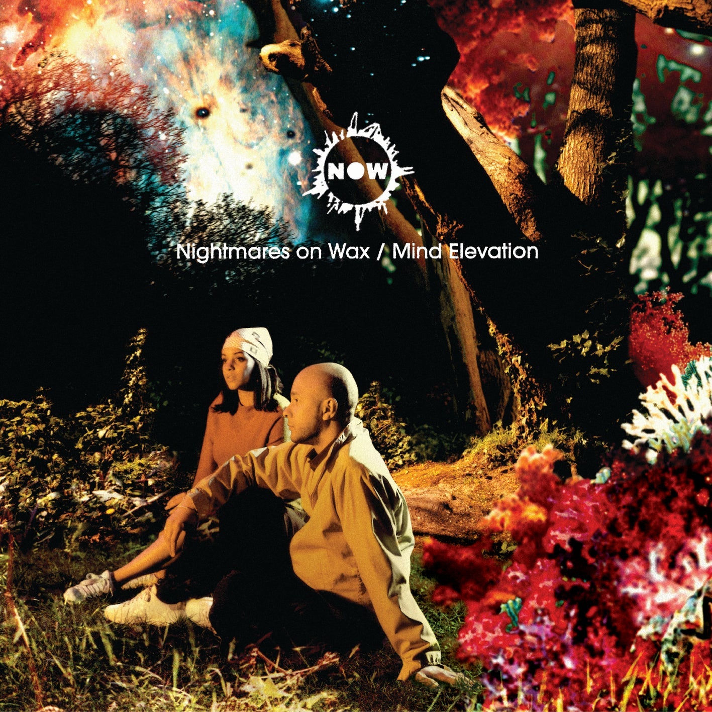 Mind Elevation Music CD