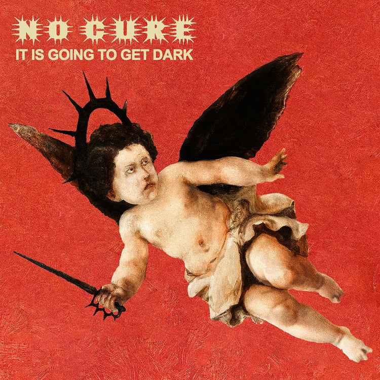 No Cure - It Is Going To Get Dark Music CD