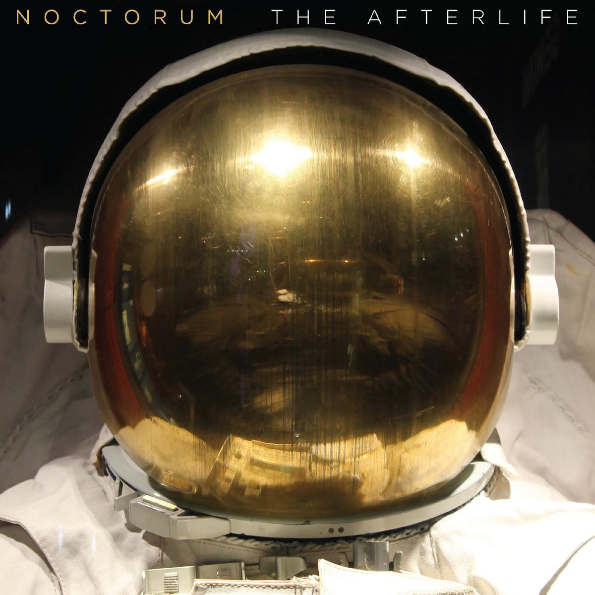 The Afterlife Vinyl Record