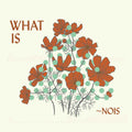 ~Nois - What Is ~Nois? Music CD