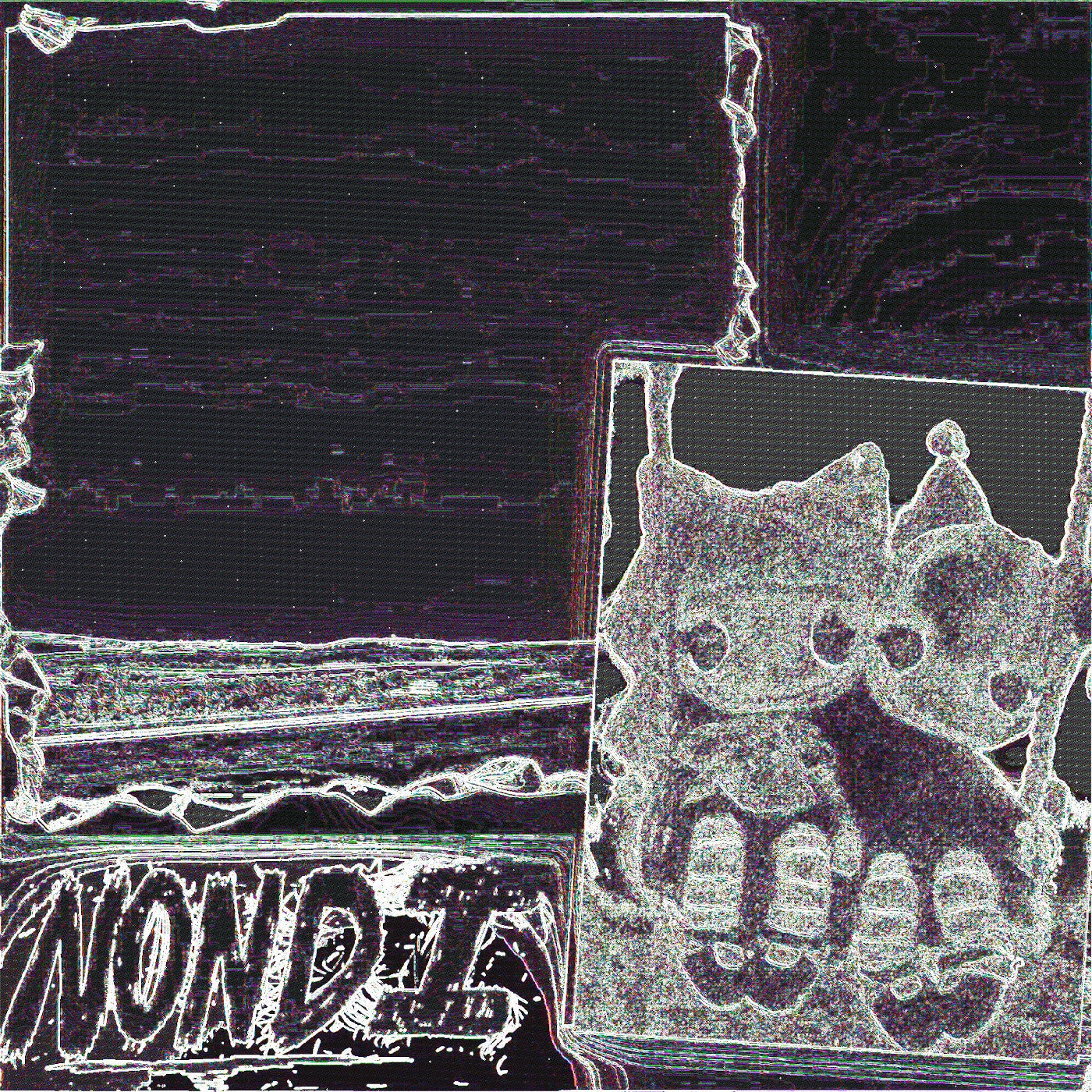 Nondi... Vinyl Record
