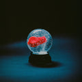 Nothing (IEX Red) Vinyl Record