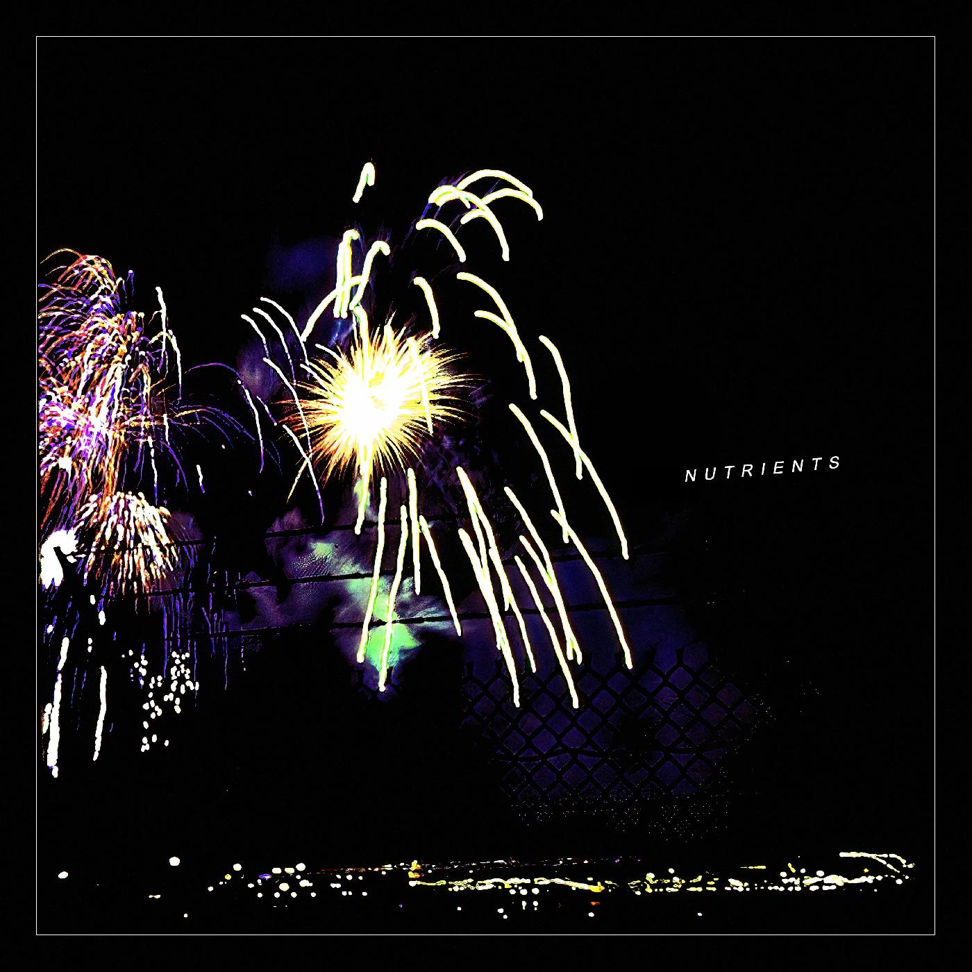 Different Bridges Vinyl Record
