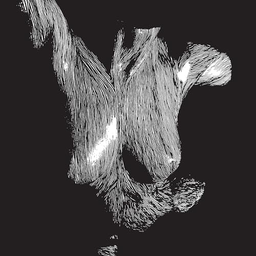 Self Preserved While The Bodies Float Up (15Th Anniversary) [3Lp] | Mint (M) Mint (M)