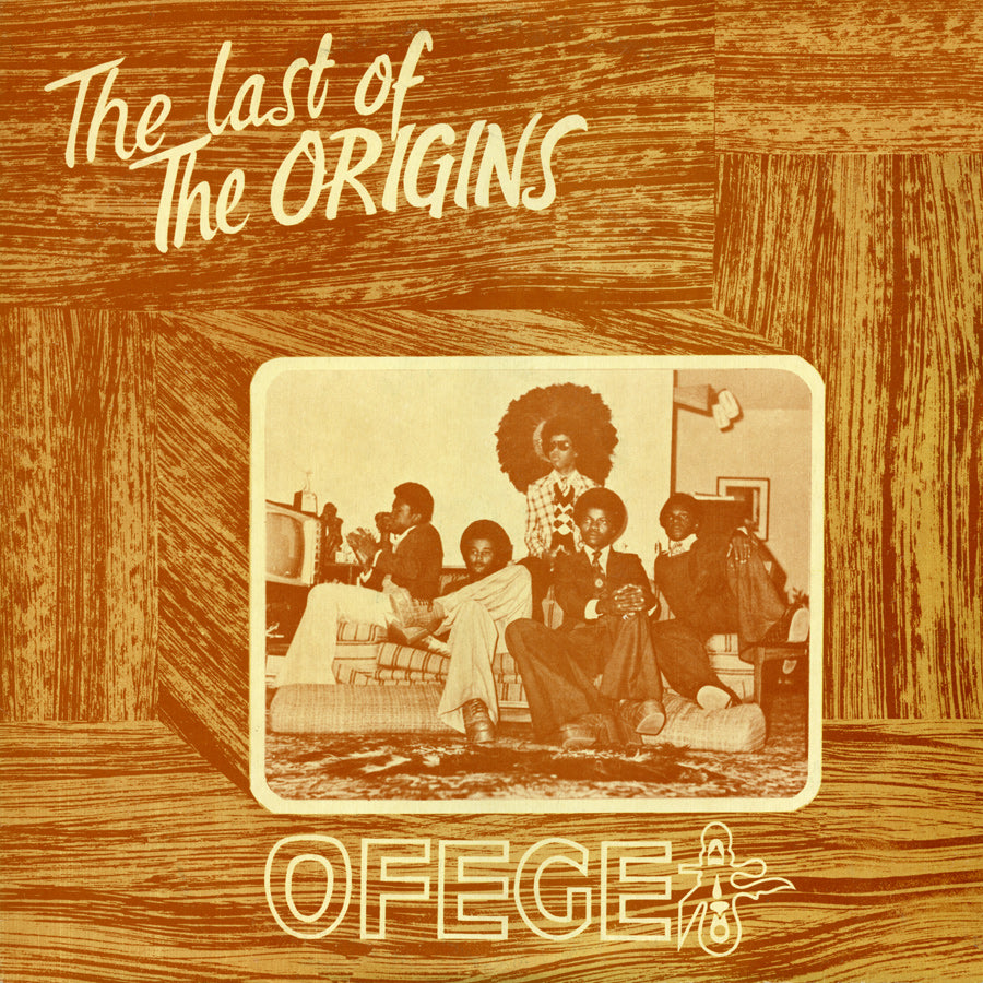The Last Of The Origins Vinyl Record