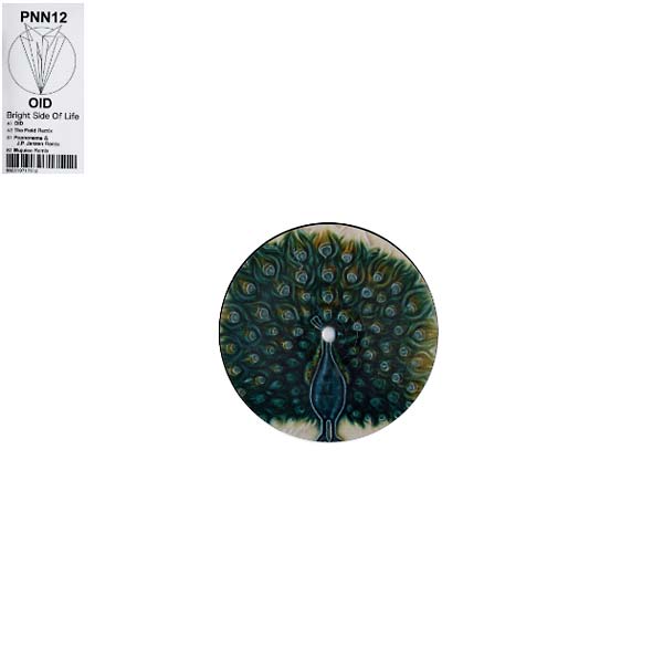 Bright Side of Life Vinyl Record