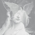 Your Soft Absence Music CD