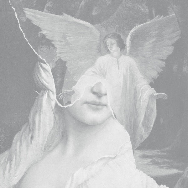 Your Soft Absence Music CD