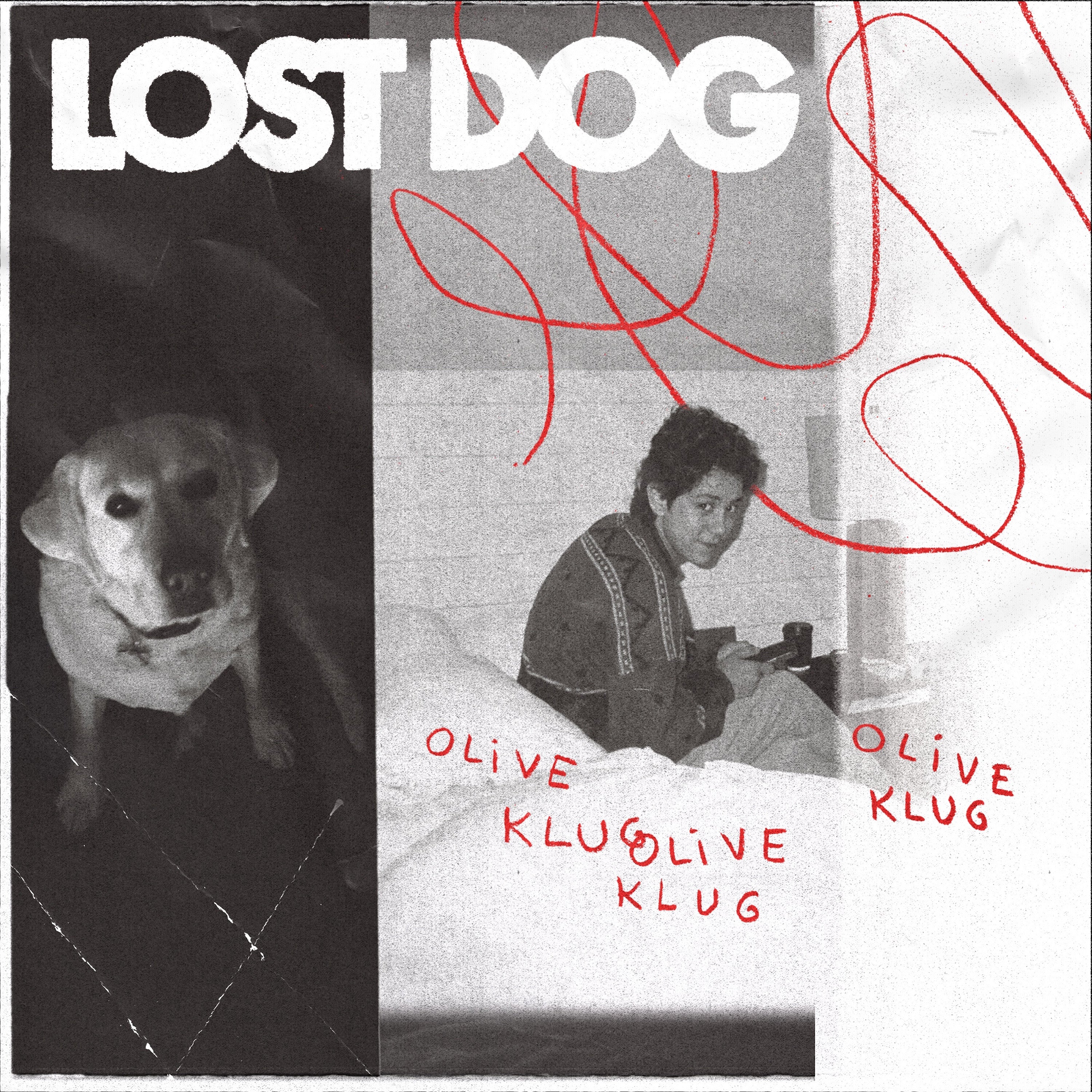 Lost Dog Vinyl Record