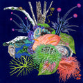 Touche Music CD