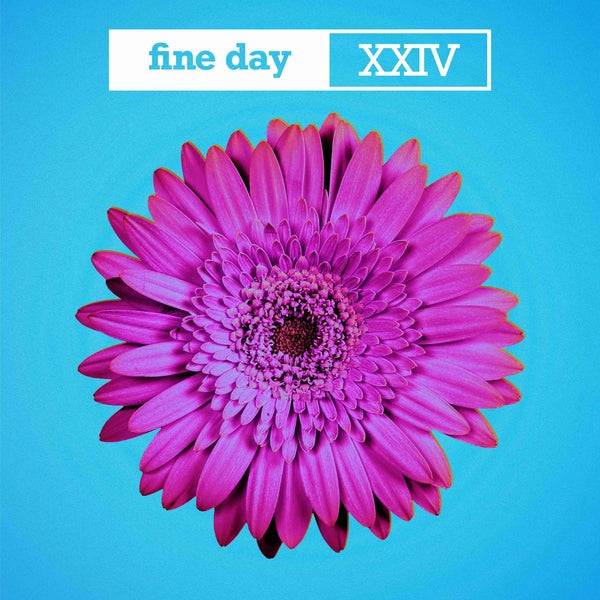 Fine Day Xxiv Vinyl Record