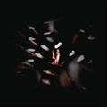 Shadowland Vinyl Record
