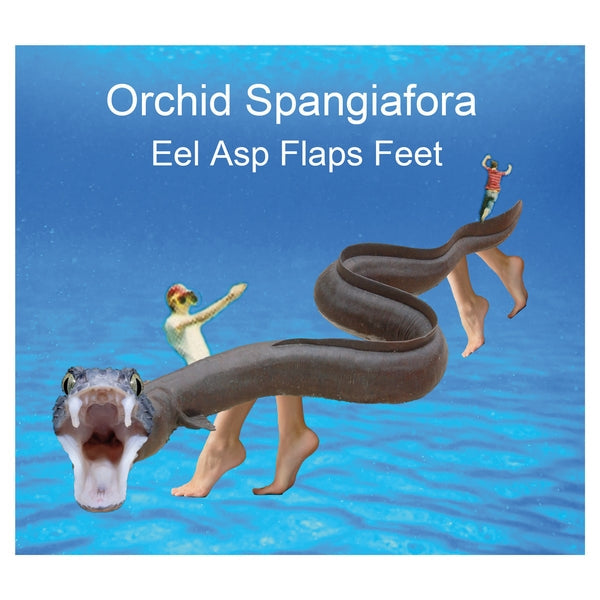 Eel Asp Flaps Feet Music CD